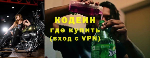 apvp Бородино