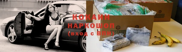 apvp Бородино