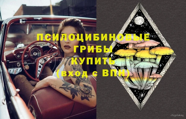 тгк Нея