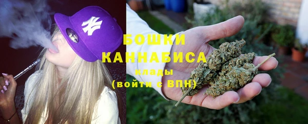 apvp Бородино